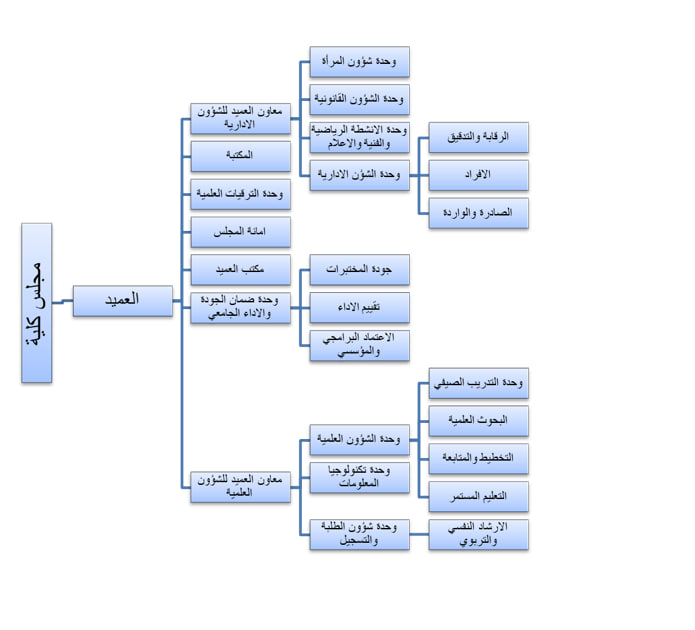 الهيكل التنظيمي