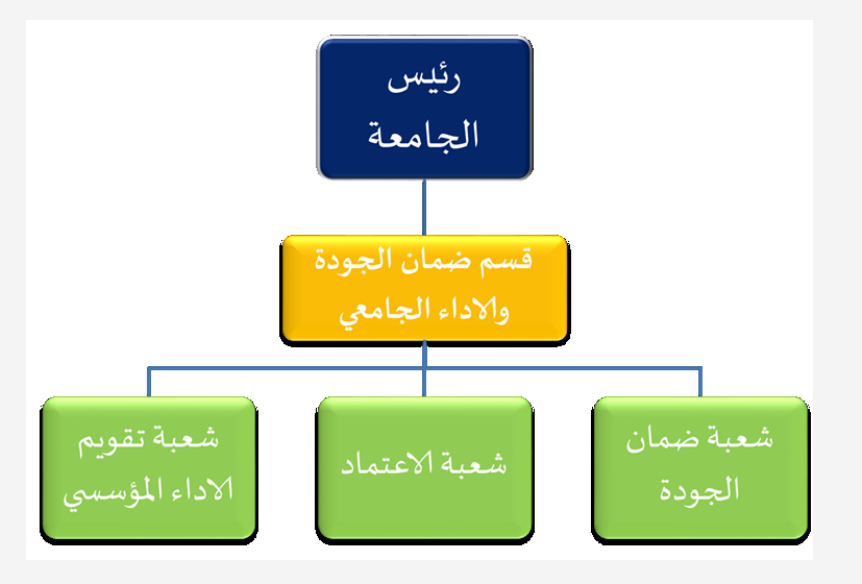 الهيكل التنظيمي