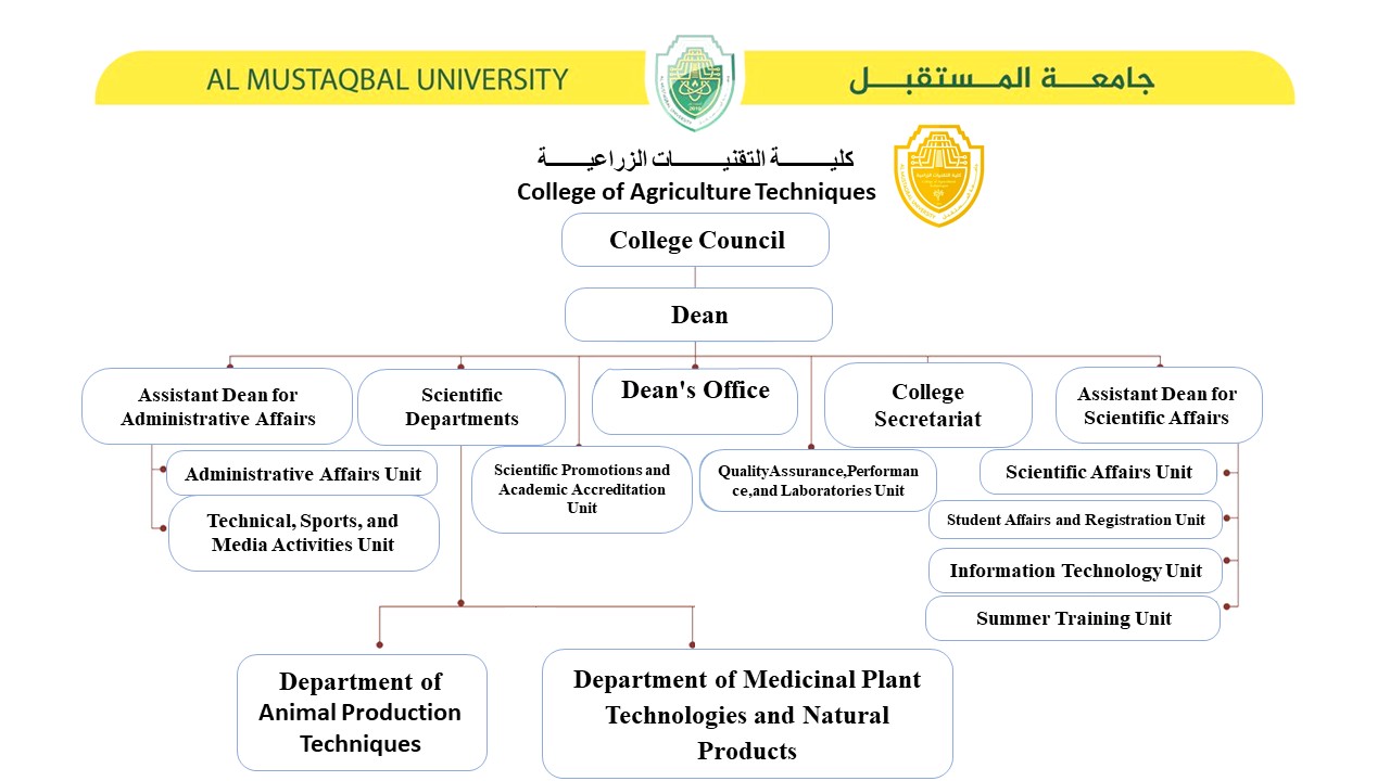 Organizational Structure