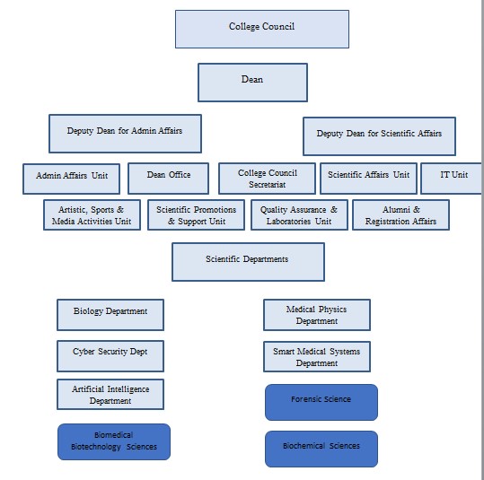 Organizational Structure