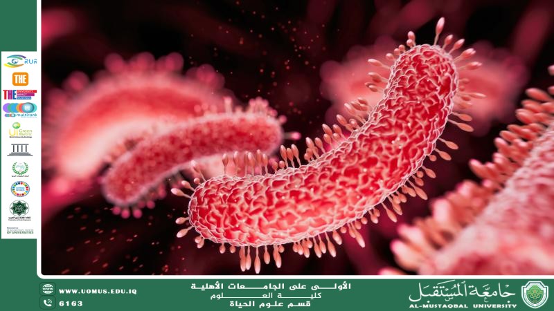"A scientific article by Dr. Amir Naji Ubaid entitled: “Stomach Bacteria: The Silent Danger of Developing Gastric Cancer