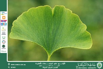 مقالة علمية للانسة نور الهدى عزمي بعنوان :زهرة الجنكة بيلوبا