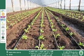 تحليل جودة التربة وتأثيرها على الإنتاج الزراعي