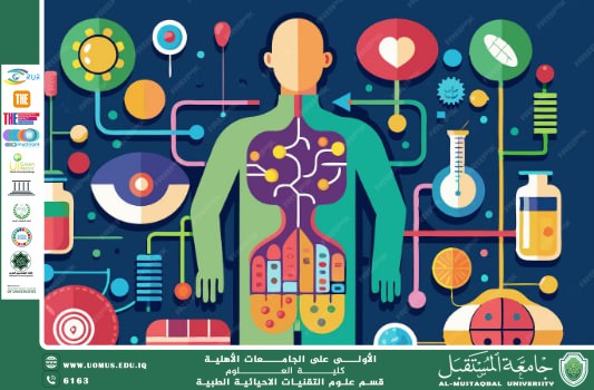 مقالة علمية للتدريسية (م.م منار كاظم حسن) بعنوان "التوازن الداخلي "