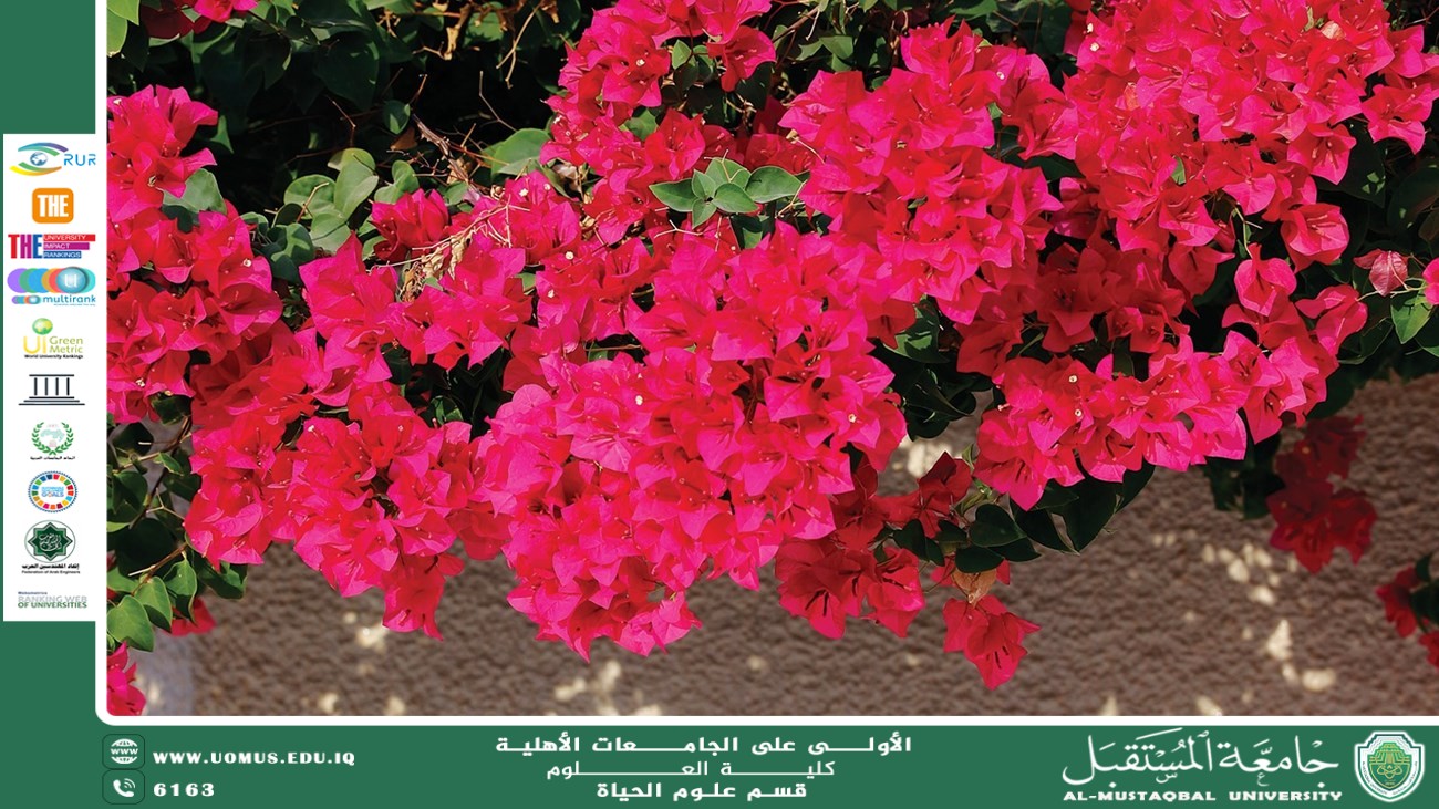 مقالة علمية للانسة نور الهدى عزمي بعنوان : زهره الجهنمية