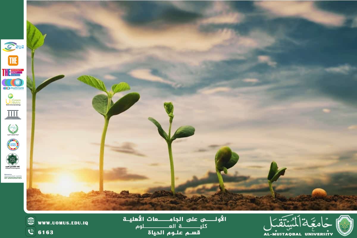 مقالة علمية للآنسة نور الهدى عزمي حسن بعنوان: تأثير الضوء على نمو النباتات