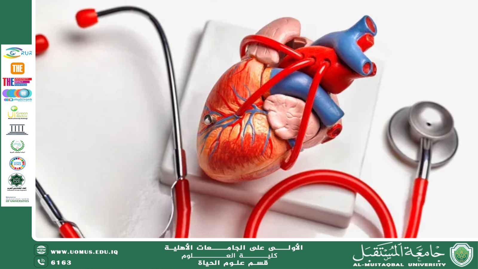 مقالة علمية للتدريسية زينب ناظم عزيز  بعنوان " تأثير نمط الحياة على صحة القلب والأوعية الدموية "