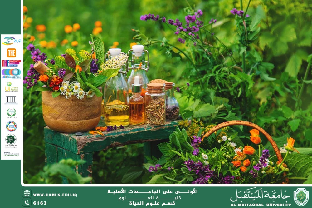 مقالة علمية للآنسة نور الهدى عزمي حسن بعنوان: النباتات العطرية وأهميتها العلاجية