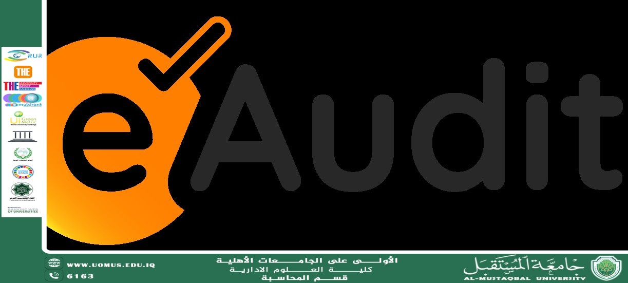 *The Impact of Using Electronic Auditing on Institutional Performance