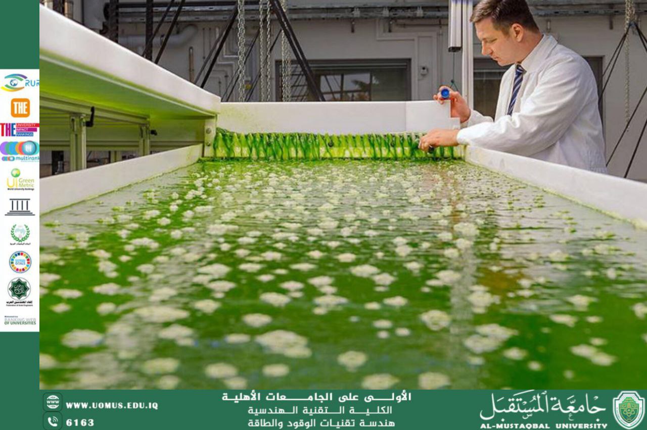 الطحالب الدقيقة كمصدر مستدام للوقود الحيوي: تكنولوجيا متقدمة وفرص مستقبلية