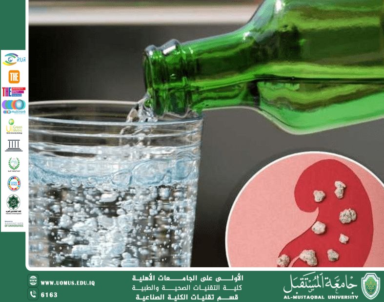 A Scientific Article by Ms. Tabarak Ahmed Turki Entitled: Carbonated Beverages as an Environmental Factor Affecting Kidney Health
