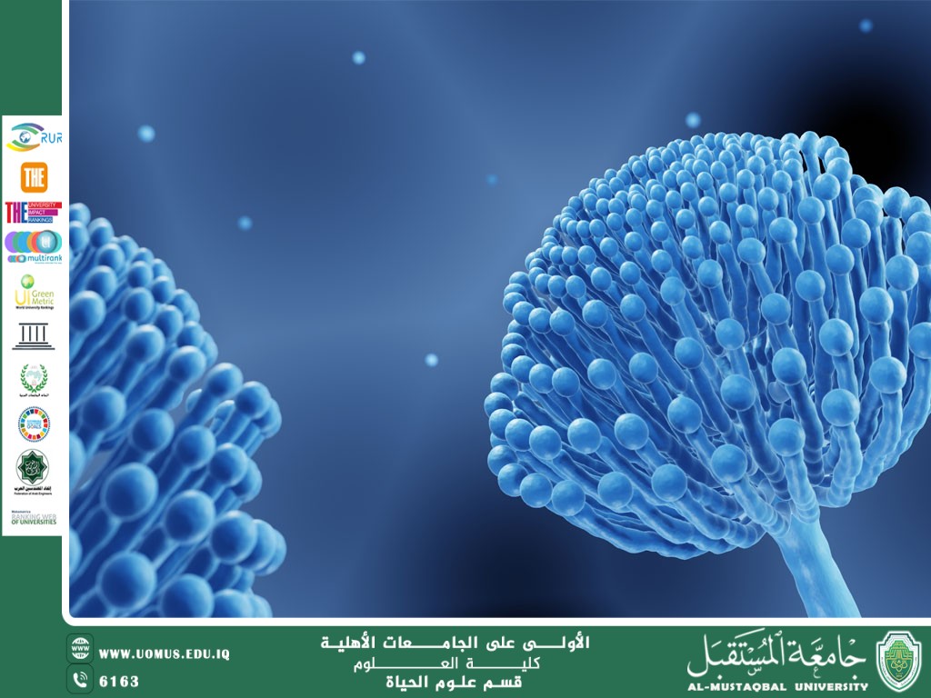 مقالة علمية للتدريسية بنين معن كريم بعنوان " تصنيف الفطريات الحديثة "