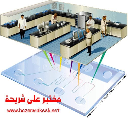 Lab-on-a-Chip (LOC): How Can Massive Diagnostic Laboratories Be Miniaturized into a Microscopic Engineering Chip?