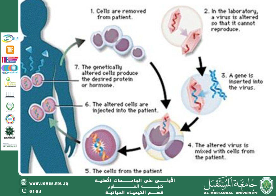 مقالة علمية للتدريسي أ.د ناصر عبد الحسن ناصر بعنوان دور الصيدلة الجينية في التحاليل السريرية