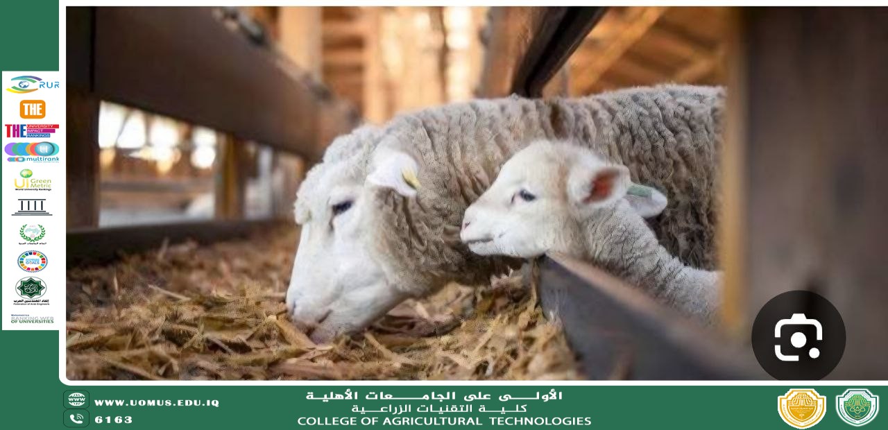 دور الإنتاج الحيواني في تحقيق الأمن الغذائي والاستدامة الزراعية