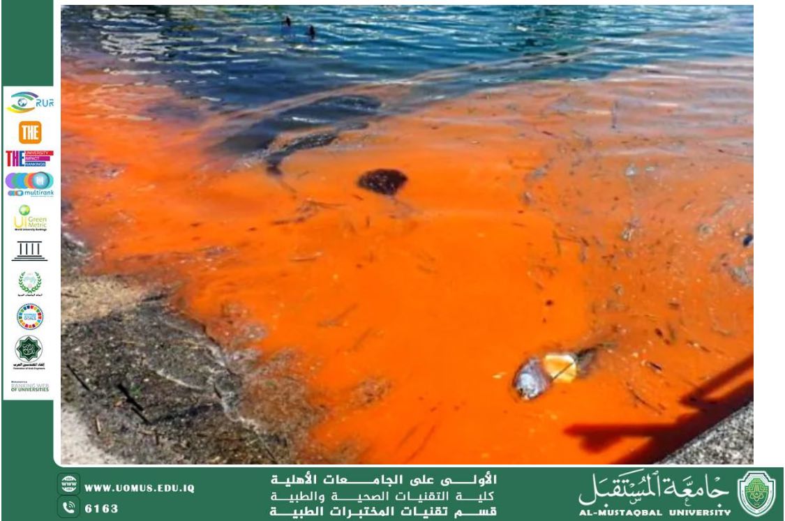 مقالة علمية للتدريسي كرار علي حسين بعنوان : تلوث الأصباغ الصناعية في النظم البيئية المائية: تحليل متكامل للتأثير البيئي واستراتيجيات المعالجة المتقدمة