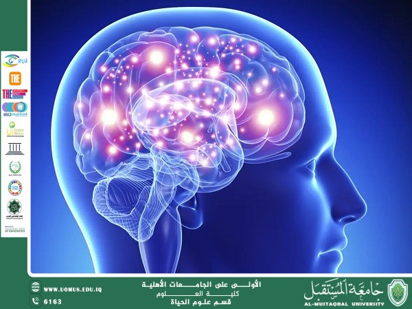 A scientific article by Ms. Nour El-Huda Azmi Hassan entitled: The Role of Lipid-Bioproteins in the Development of Neurological Diseases
