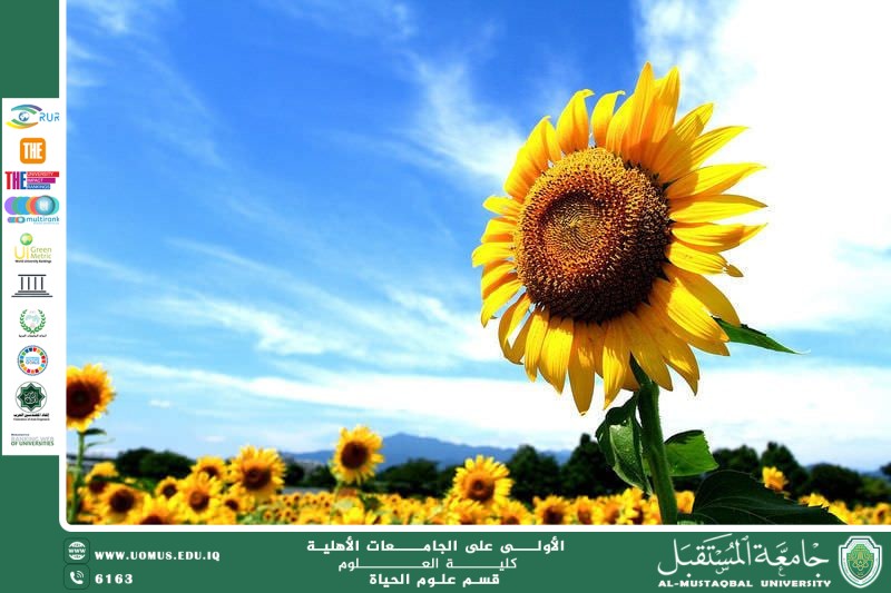 مقالة علمية للآنسة نور الهدى عزمي حسن بعنوان: النباتات البذرية: خصائصها وتصنيفها