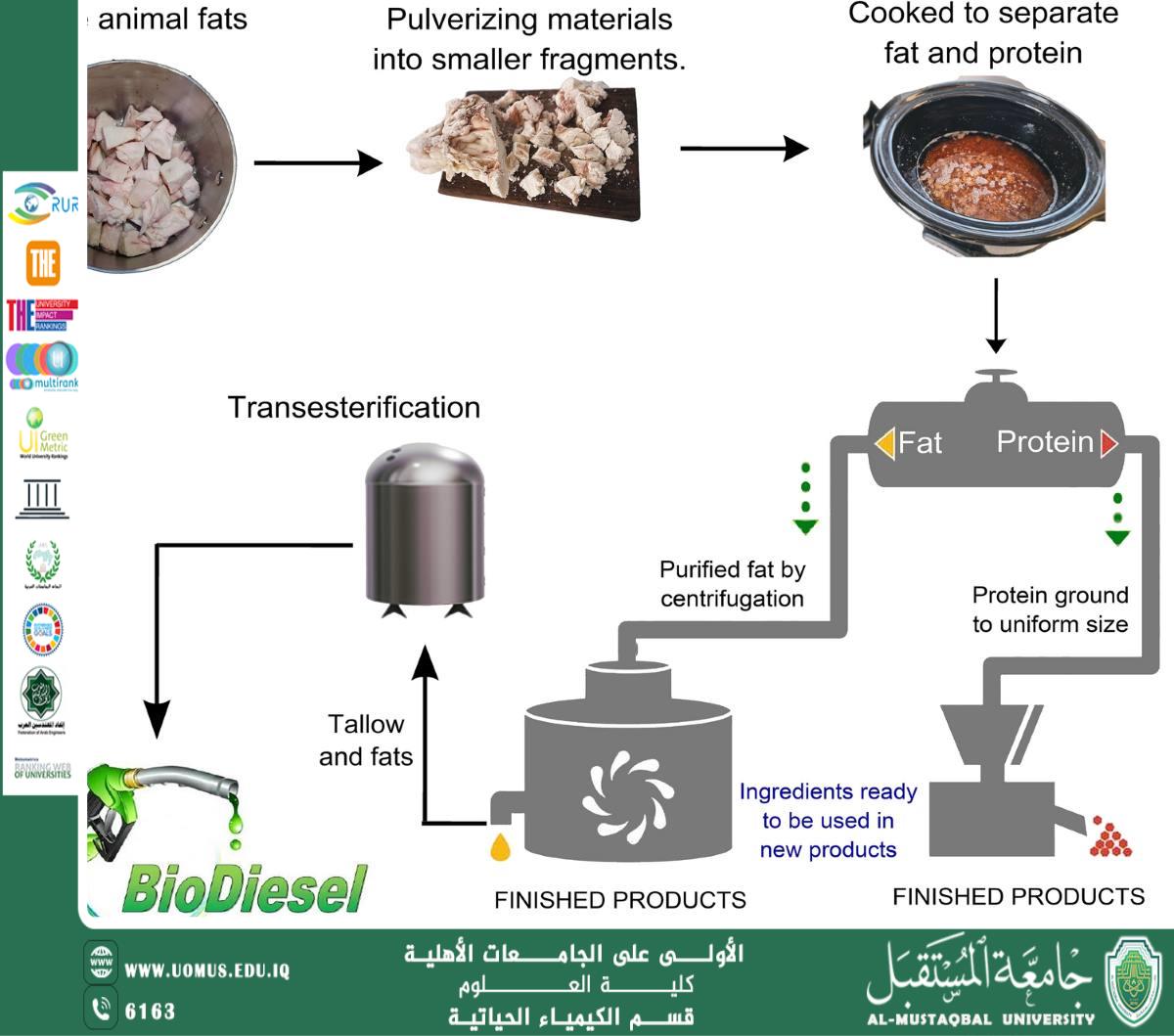مقاله علمية للتدريسية م.م زهراء حازم حامد  بعنوان تحسين إنتاج الوقود الحيوي من النفايات باستخدام الكيمياء الحاسوبي