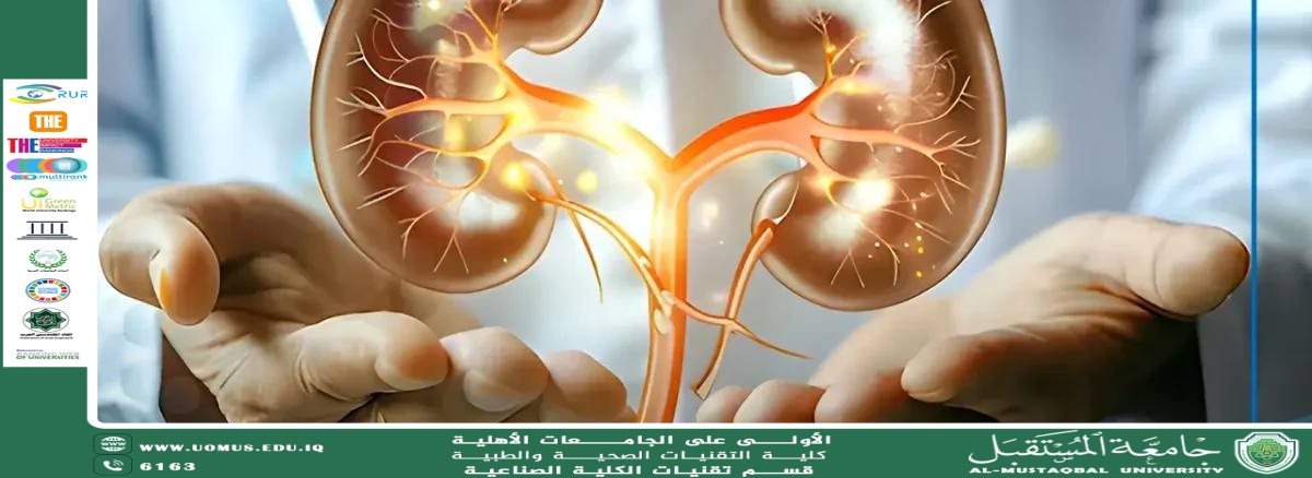 Scientific Article by Mrs. Tabarak Ahmed Turki Al-Azzaoui  Title: The Most Important Symptoms of Acute Kidney Inflammation and Its Treatment Methods