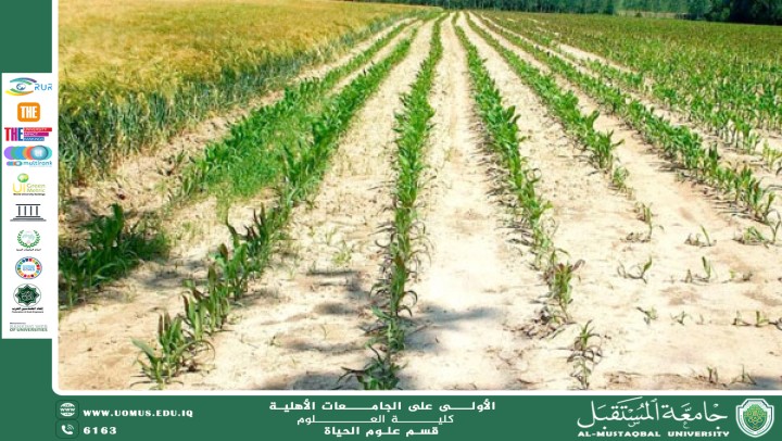"A Scientific Article by Lecturer Asst. Instructor Duha Salah Sahib Entitled: ‘The Role of Changing Climate in the Increase of Agricultural Pests and the Threat to Food Production Stability’"