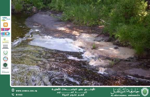 مقالة علمية للمعيدة غدير عقيل ابرهيم بعنوان:تراكم المعادن الثقيلة في المياه وتأثيرها على الكائنات المائية