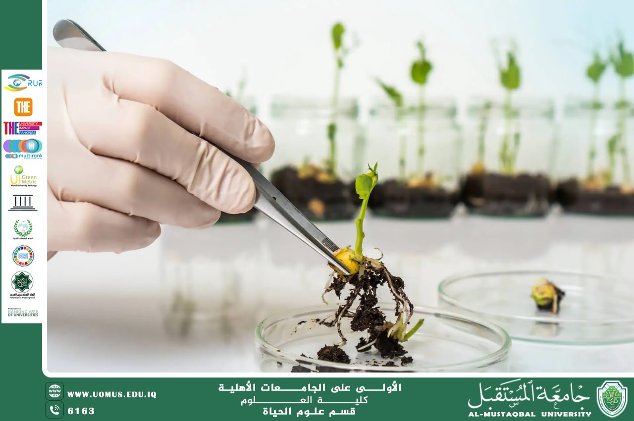 "A scientific article by Ms. Nour El-Huda Azmi Hassan entitled "Improving the genetic traits of plants to achieve food security