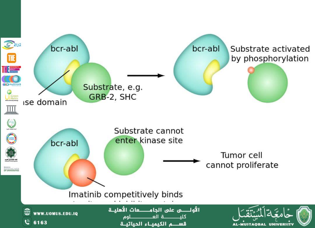 مقالة علمية لرئيس قسم الكيمياء الحياتية الأستاذ الدكتور ناصر عبد الحسن ناصر بعنوان دور الكيمياء الحياتية الطبية في العلاج الموجّه (Targeted Therapy)