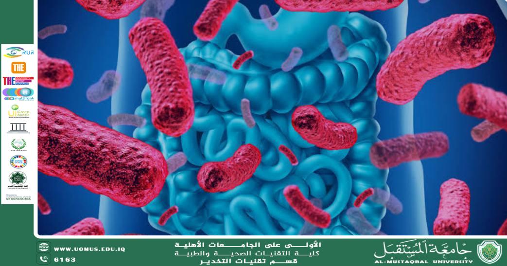 Benefits of Beneficial Bacteria to the Human Body