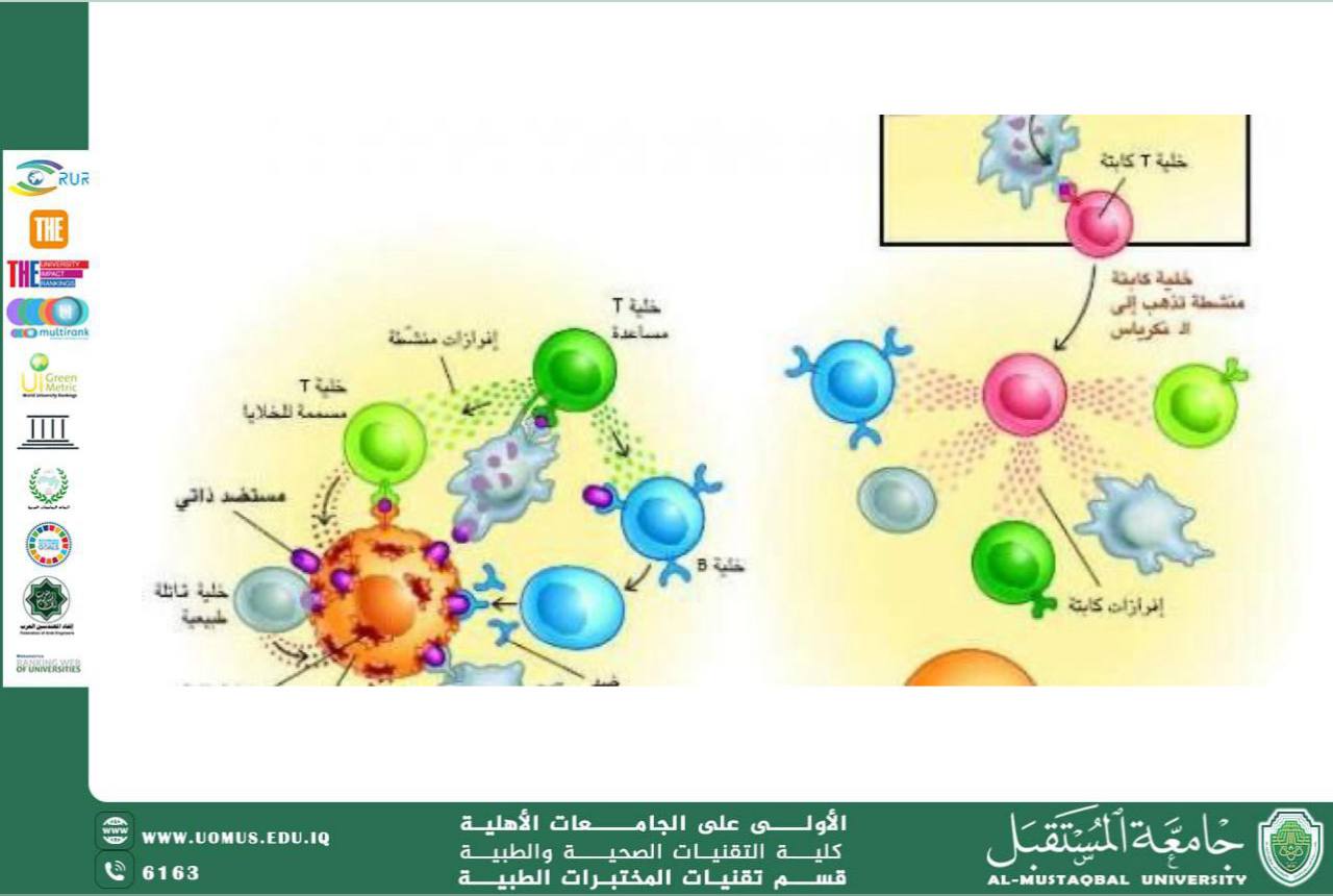 مقالة علمية للسيدة روز صالح جواد بعنوان المناعة العامة في الجسم