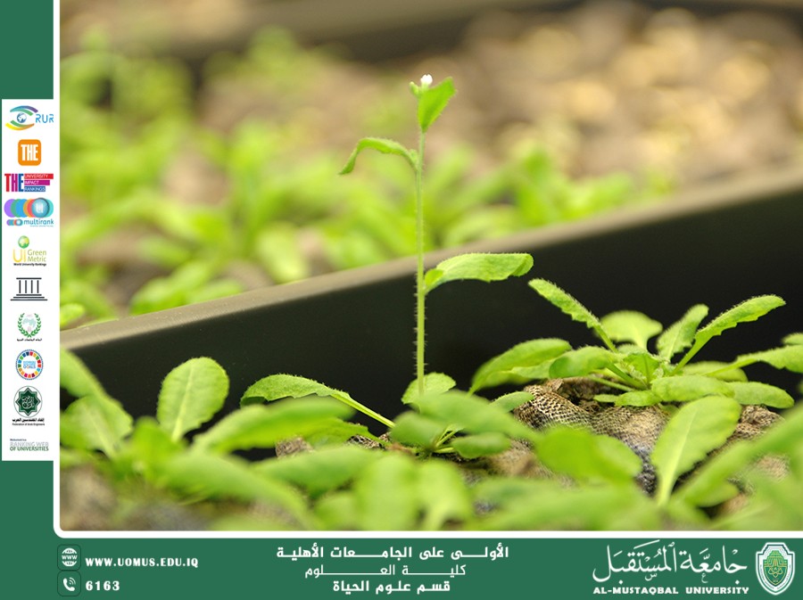 A Scientific Article by Teaching Assistant Ola Adel Rasmi Entitled: “Biological Development of Drought-Resistant Plants”