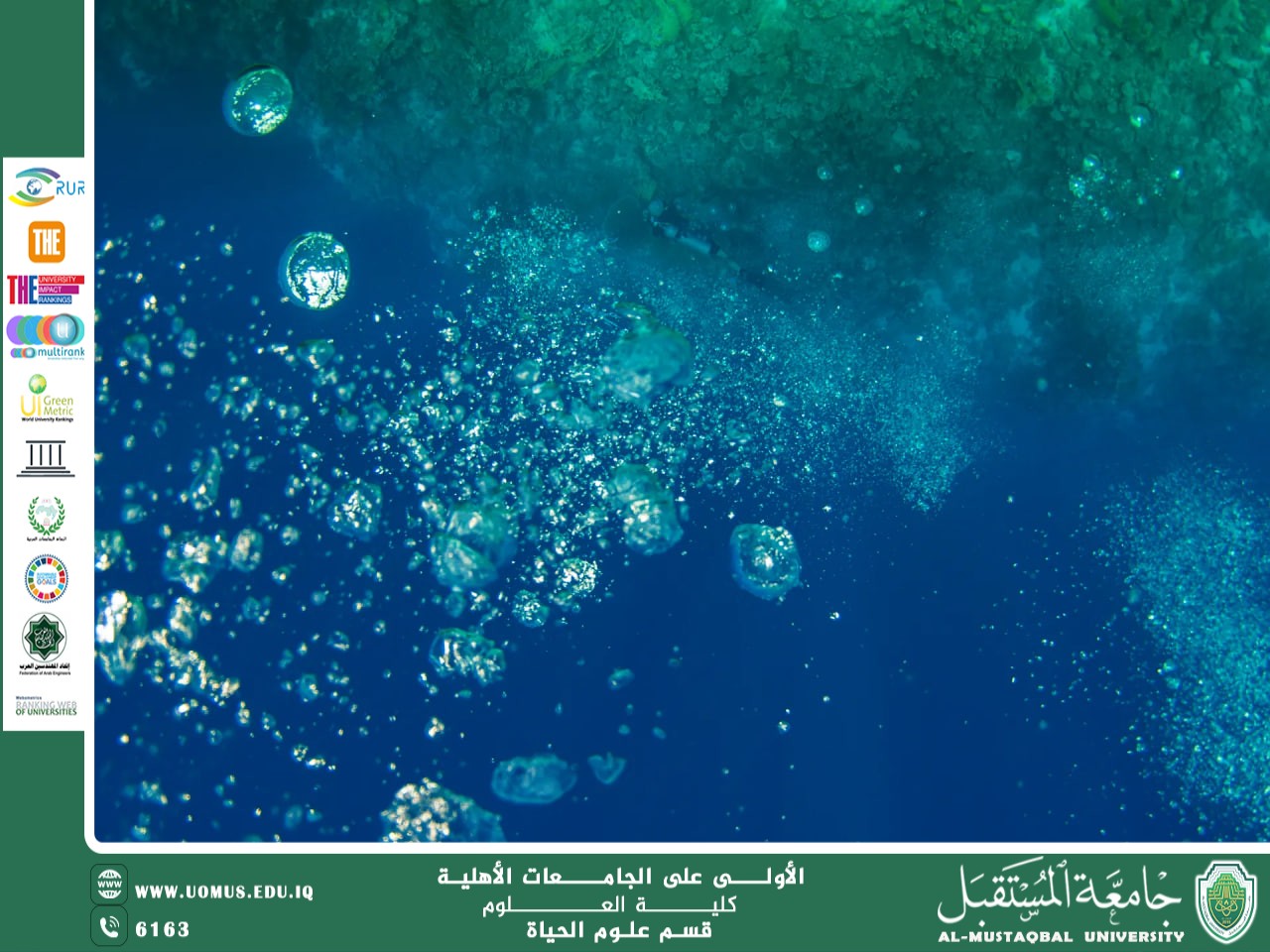 مقالة علمية للانسة نور الهدى عزمي حسن بعنوان "استخدام الكائنات الدقيقة في معالجة المياه"