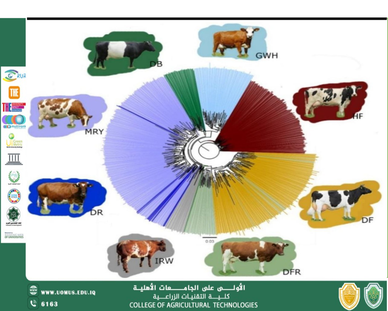 Egg freezing in cows and its role in achieving sustainability in animal production
