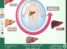 Biochemistry of Liver Function Tests: Molecular Indicators of Hepatic Health and Disease