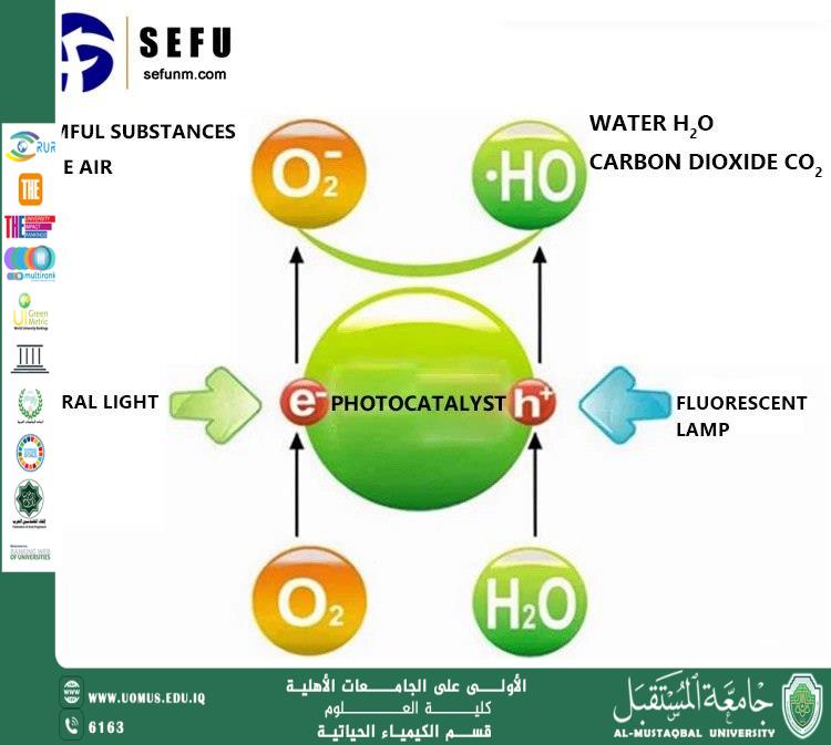 Scientific Article by Ass .Prof. Mustafa Ali Al-Awadi Department of Biochemistry   Titanium Dioxide (TiO₂) Nanoparticles: A Promising Technology for Pollutant Degradation Using Light