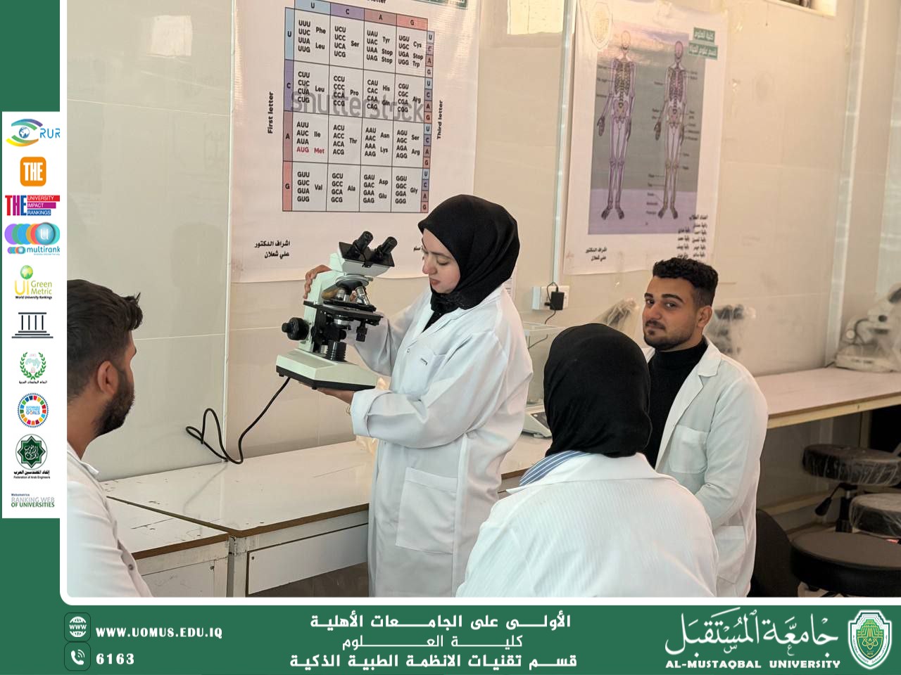 آليات فطر الترايكوديرما في تعزيز صحة النبات ومقاومة الفطريات الضارة(م.م نجاة حميد جاسم).