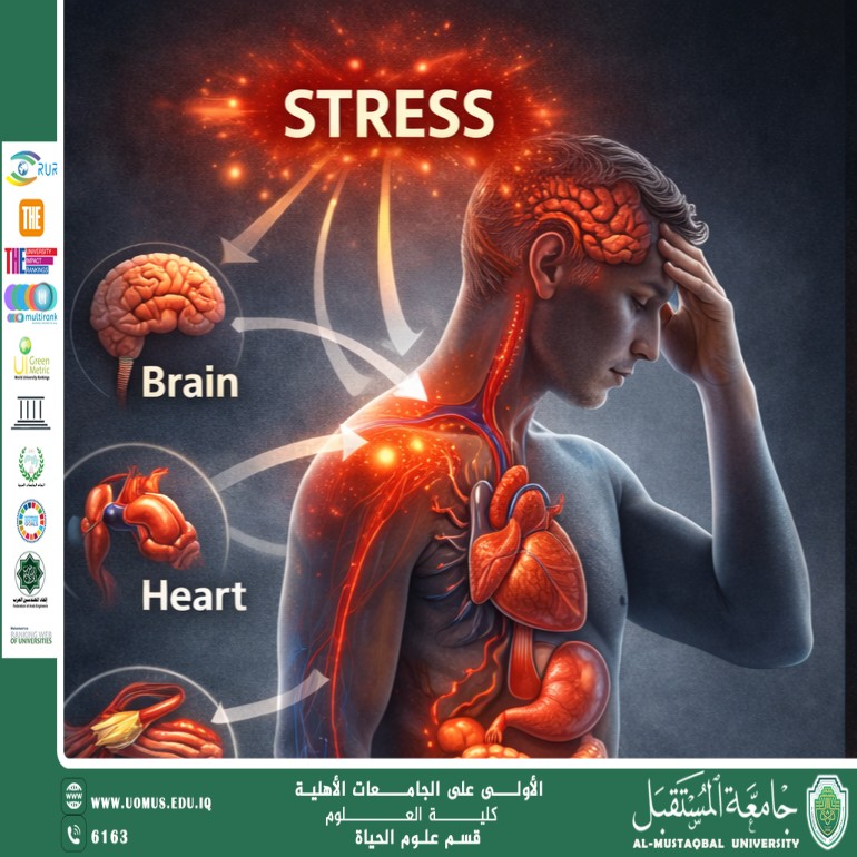 "Scientific article by Miss Noor alhuda Azmi Hasan entitled: The Effect of Stress on Body Functions"