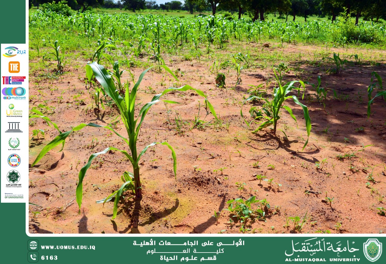 مقالة علمية للانسة نور الهدى عزمي حسن بعنوان : دور المواد العضوية في زيادة خصوبة التربة وتحسين نمو النباتات
