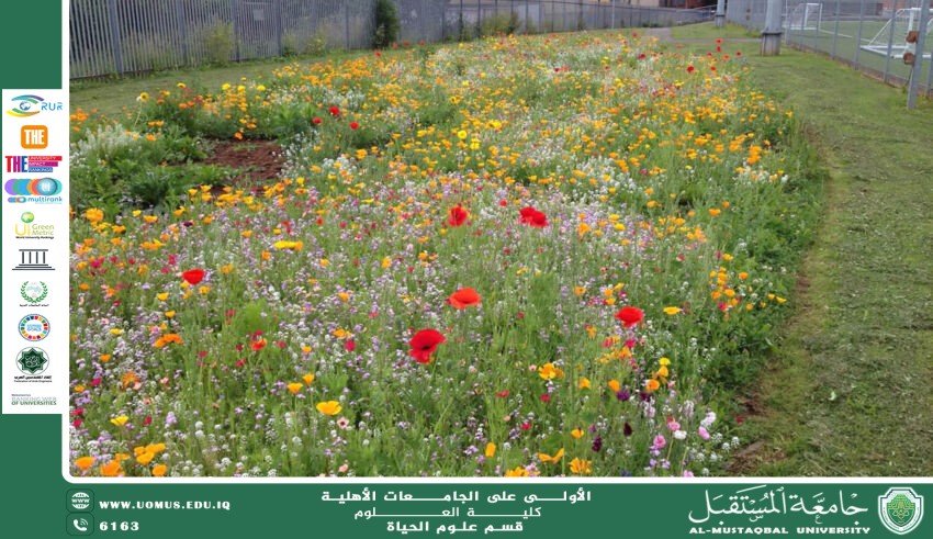 A Scientific Article by Ms. Noor Al-Huda Azmi Hassan Entitled: The Importance of Biodiversity in Maintaining Ecological Balance.