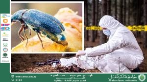 دور علم الحشرات الجنائي في كشف الجرائم الغامضة (م.م. بشرى حسين عطية)