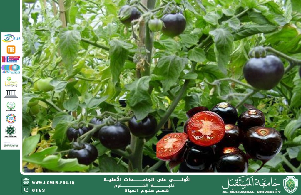 "A scientific article by instructor Banin Maan Karim entitled "Modern Agriculture Using Genetically Modified Plants