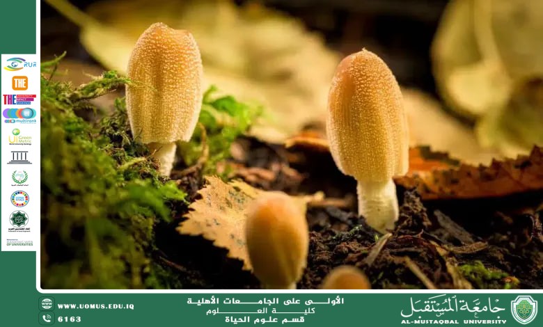 "A scientific article by instructor Banin Maan Karim entitled "Bacteria and Fungi in Environmental Treatment