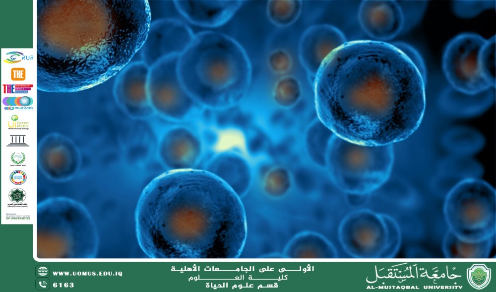 A scientific article by instructor Banin Maan Karim entitled "Stem Cells and Their Role in Medical Treatment"