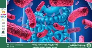 The Role of the Gut Microbiome in Human Health A scientific article prepared by Asst. Lect. Zainab Ali Mohsen Al-Khafaji