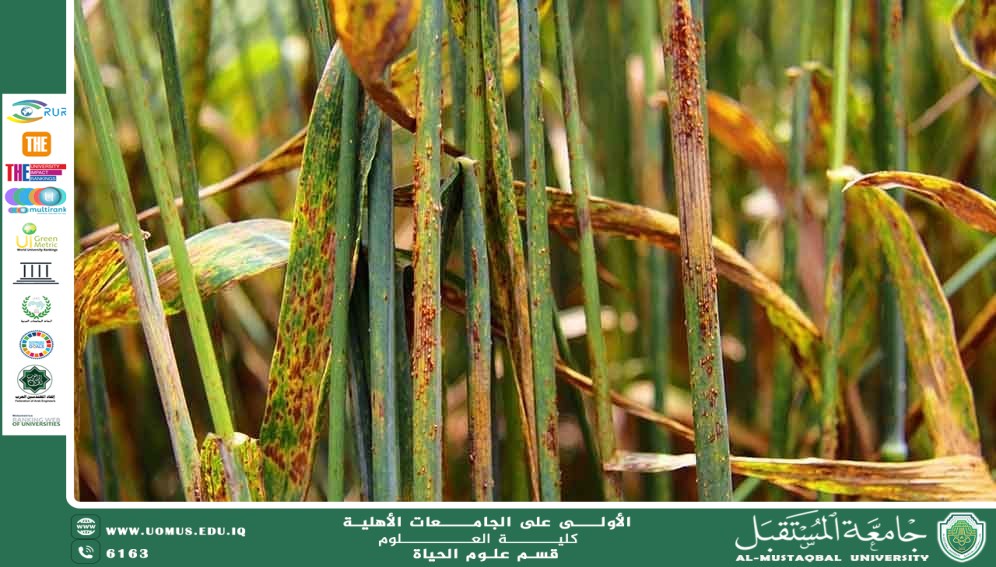 مقالة علمية للتدريسية بنين معن كريم بعنوان " الفيروسات النباتية وتأثيرها على المحاصيل والنظم الزراعية"