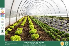 نحو الزراعة العضوية كطريق للاستدامة الزراعية