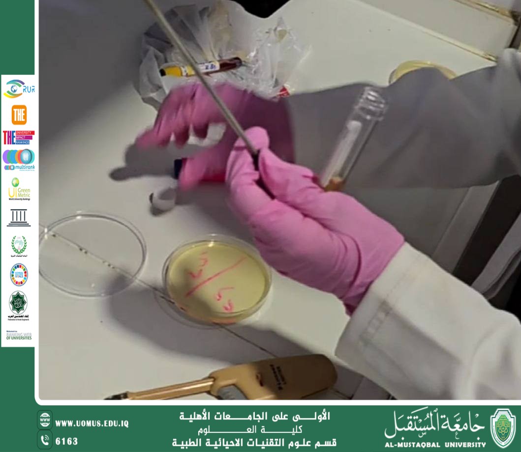 Workshop on Pouring Culture Media and Blood Sample Cultivation.