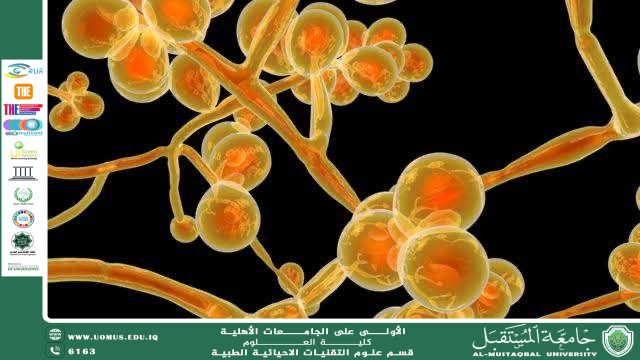 A scientific article by teaching assistant (Ahmed Jalal Naama) entitled "Microscopic Fungi"