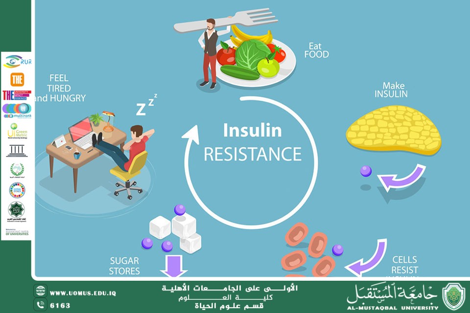 مقالة علمية للتدريسي م.م علي كميت حمد بعنوان : مقاومة الانسولين