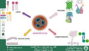 Nanoparticle – Biomolecule Interactions (Binding and Transport) Prepared by: Dr. Aseel Amer Hadi Course Coordinator – Department of Biochemistry